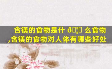 含镁的食物是什 🦆 么食物,含镁的食物对人体有哪些好处